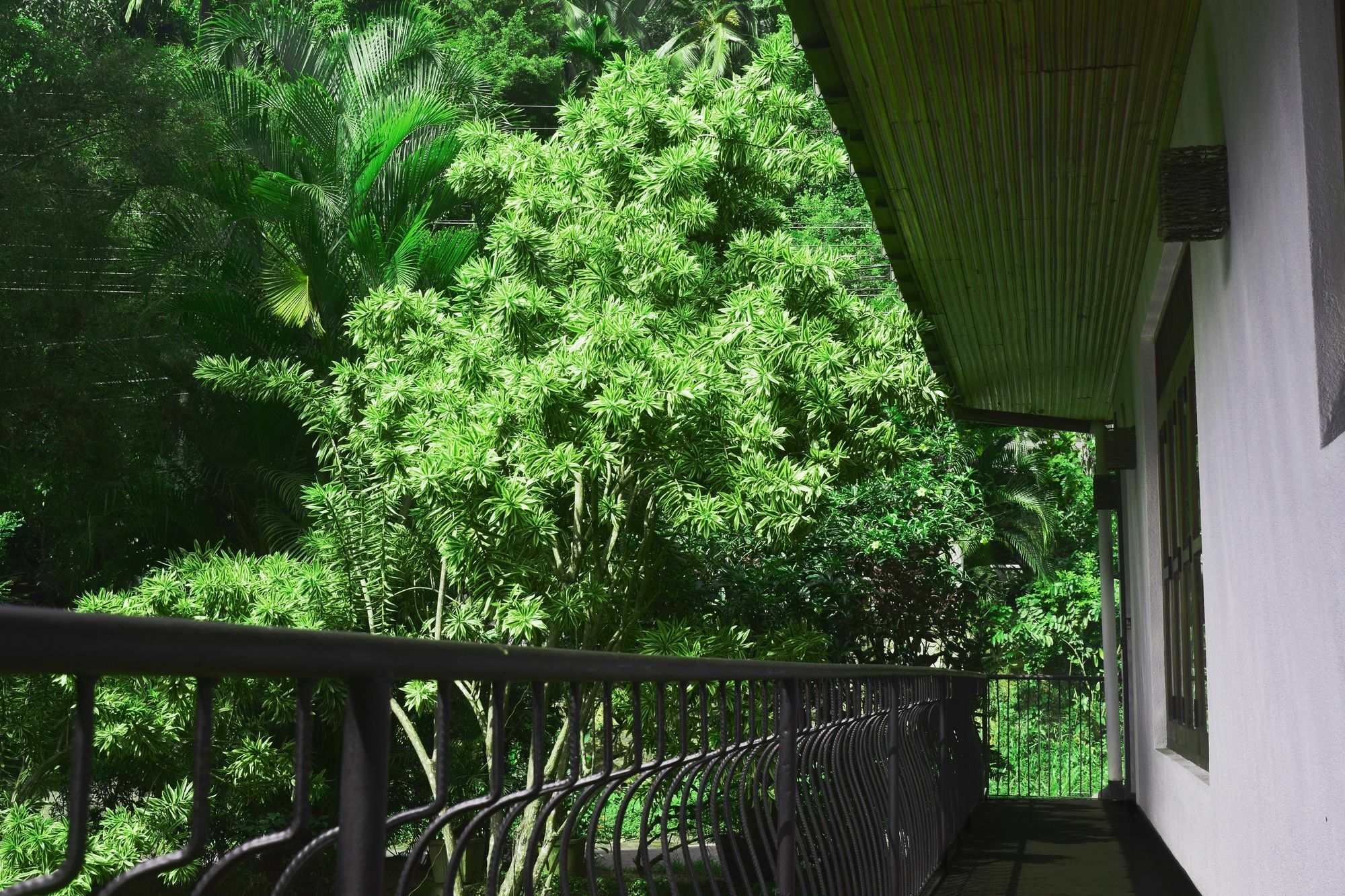 Avaana By Springhills Hotel Kandy Exterior photo
